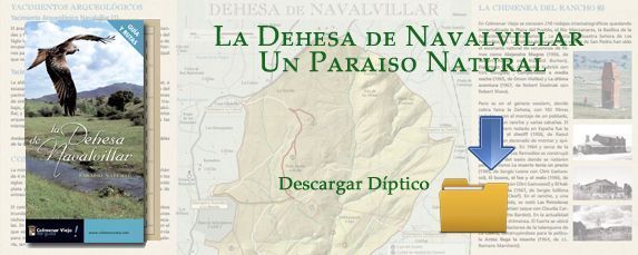 Dehesa de Navalvillar Un Paraiso Natural